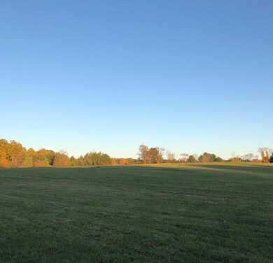 Truman Photo 3