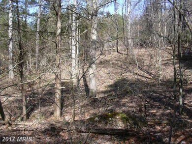 7 Lexington Ln, Earlysville, VA 22936 - photo 3