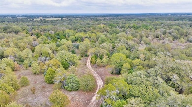 Hwy 77, Rockdale, TX 76567 - photo 4