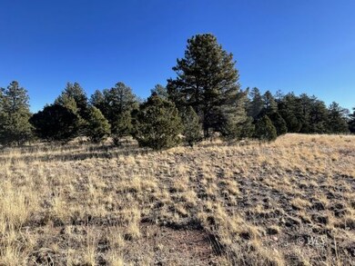 Beautiful Pines