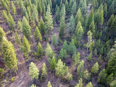 Lot 17 Trail Creek Ct, Placerville, ID 83666 - photo 6