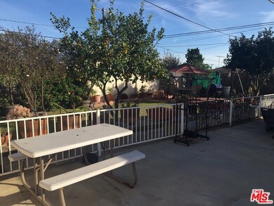 Rear Yard
