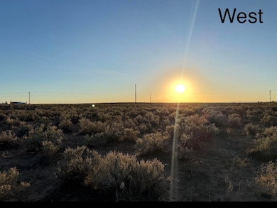 Block 1415 Rio Grande Estate Lot 12 13 14, Belen, NM 87002 - photo 4