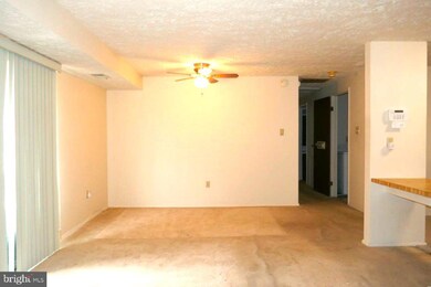 12407 Hickory Tree Way, Germantown, MD 20874 - photo 5