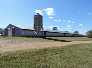 4-Poultry Farm
