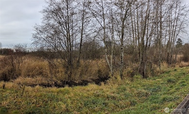 0 2nd Ave, Ferndale, WA 98248 - photo 2