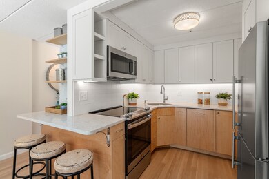 17 Healey St unit 101, Cambridge, MA 02138 - photo 6