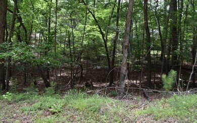 Additional View