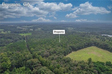 0 W Hendricks St, Bowman, GA 30624 - photo 4