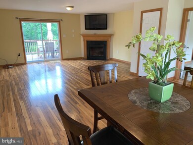 501 Washout Ln, Winchester, VA 22603 - photo 6