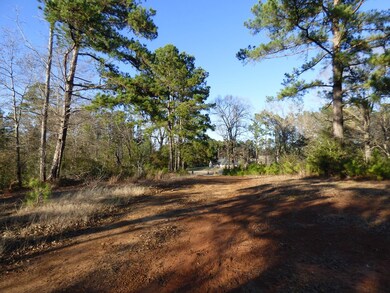 Lot 11 County Road 816, Nacogdoches, TX 75964 - photo 3