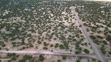 DJI_0102 (002)