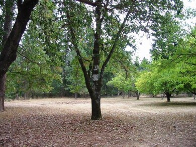 495 Boyer Rd, Grants Pass, OR 97526 - photo 6