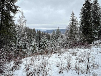 NKA Deer Creek Rd, Valley, WA 99181 - photo 2