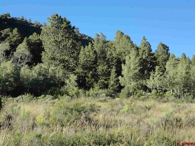 0 Sleger Rd unit 697804, Fort Garland, CO 81133 - photo 4