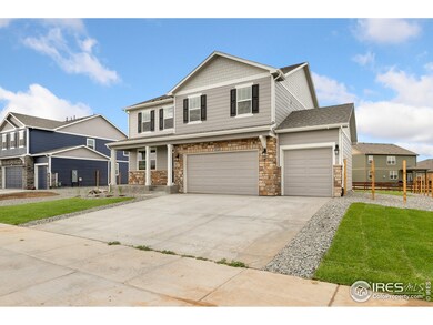6169 Yellowtail St, Timnath, CO 80547 - photo 2