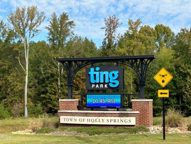 121 Cobalt Creek Way, Holly Springs, NC 27540 - photo 6