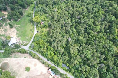 1655 Lester Whitt Rd, Rutledge, TN 37861 - photo 3