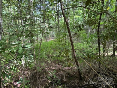 99999 Small Creek Rd unit 4, Brevard, NC 28712 - photo 7