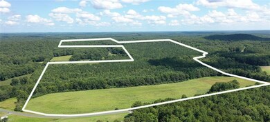 00 Pisgah Covered Bridge Rd, Asheboro, NC 27205 - photo 2