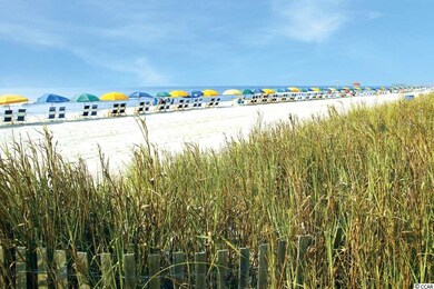 1407 Hemingway St, Myrtle Beach, SC 29577 - photo 7