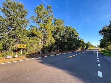 0 Edgerly Rd unit 24516946, Dequincy, LA 70633 - photo 5