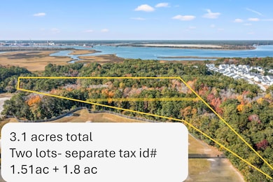 0 Yellow House Place unit 25031109, Cainhoy, SC 29492 - photo 3