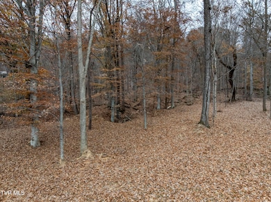 211 Rocky Branch Rd, Blountville, TN 37617 - photo 3