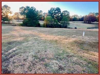 TBA Woodland Rd, Batesville, MS 38606 - photo 4