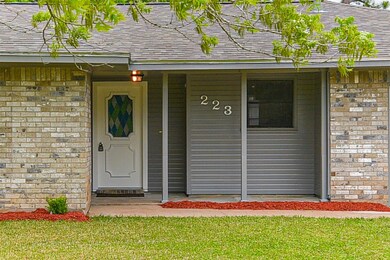 223 Avenue H, Brazoria, TX 77422 - photo 4