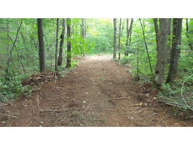 90 Acres Krnstead Rd, Mellen, WI 54546 - photo 3