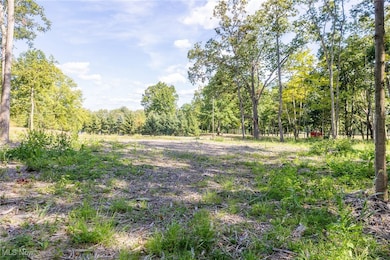 View of tree filled area