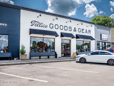 0 1 Cherohala Skyway unit 1322991, Tellico Plains, TN 37385 - photo 2