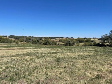 137 Lincoln Rd, Boyd, TX 76023 - photo 5