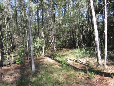 0 Highway 43, Oak Vale, MS 39656 - photo 6