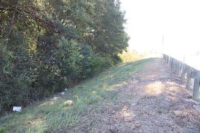 TBD E Webster St, Jefferson, TX 75657 - photo 2