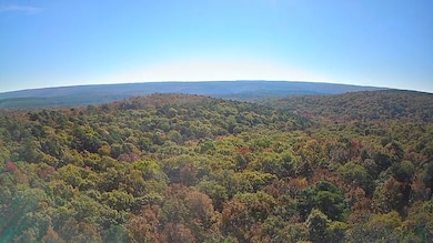 0000 Dump Mountain Rd, Mountain View, AR 72560 - photo 2