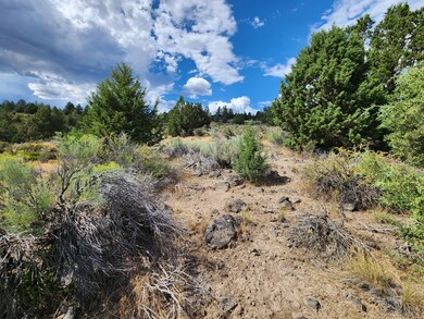 0 Drews Rd unit 25625857, Chiloquin, OR 97639 - photo 5