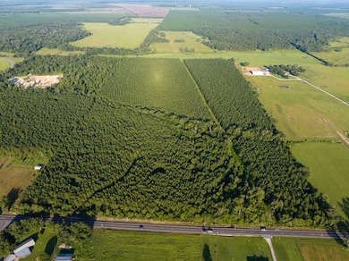 1 Edgerly Rd, Dequincy, LA 70633 - photo 6