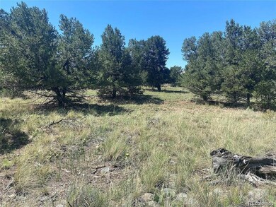 2049 Indian Well Overlook, Crestone, CO 81143 - photo 4