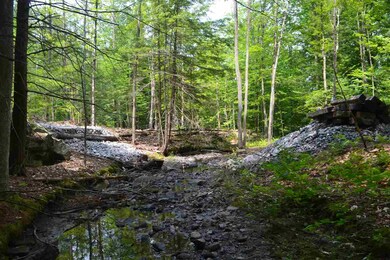 555 Chestnut St, Claremont, NH 03743 - photo 5