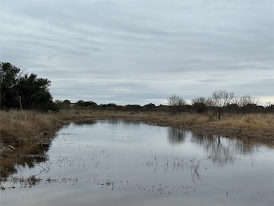 9455 County Road 189, Bangs, TX 76823 - photo 7