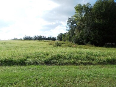 Lot 3 SW 199th Ct, Dunnellon, FL 34431 - photo 3