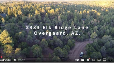 2333 Elk Ridge Ln unit 4H, Overgaard, AZ 85933 - photo 2