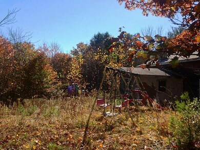 Back Yard.