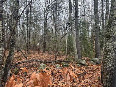 B1929F50-2F31-4216-A740-A6582048DC7A_1_1