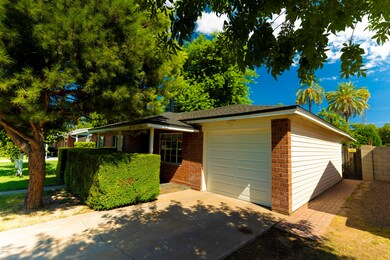 Front Yard (2)
