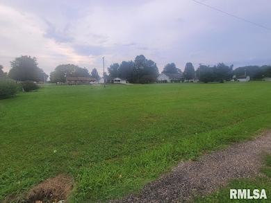 000 Eric Ln, McLeansboro, IL 62859 - photo 4