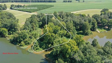 Lot 21 Judge Greene Place unit 1637, Greensboro, AL 36744 - photo 4