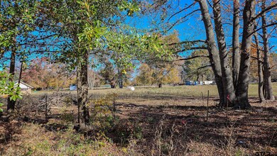 TBD County Road 219, Tyler, TX 75707 - photo 2